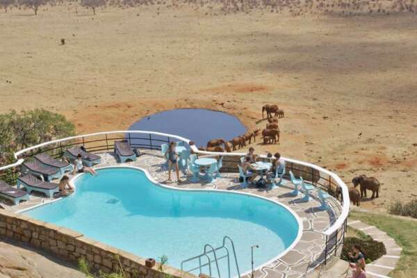 4 Days Tsavo East, West & Amboseli Ladina Travel Safari