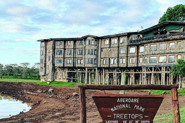 5 Days Aberdares Treetops, Lake Nakuru & Masai Mara Safari
