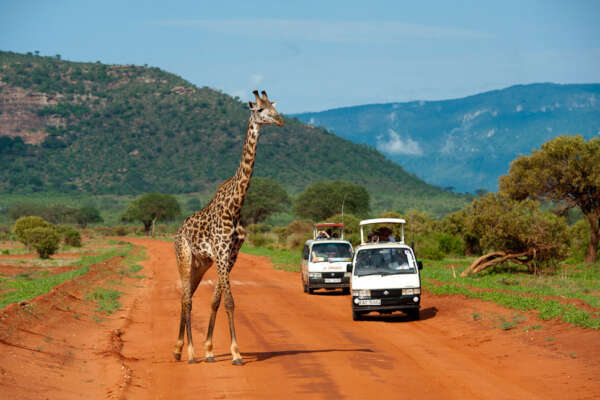Tsavo East Safari Adventure